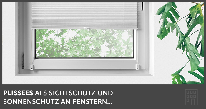 plissees-fenster